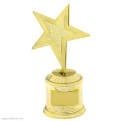 Награда Звезда без надписи (под нанесение) 16,5*8,5*6,3см