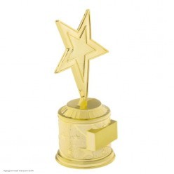 Награда Звезда без надписи (под нанесение) 16,5*8,5*6,3см