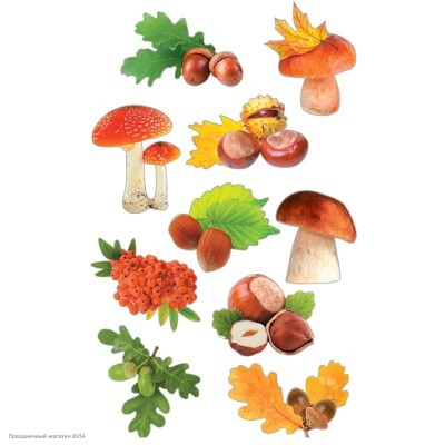Набор оформления "Осенний" (грибы, листья) на скотче 15*15см 5НСК-016