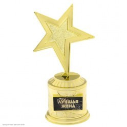 Награда Звезда "Лучшая жена" (пластик) 16,5*8,5*6,3см