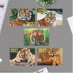 Календарик карманный 2022 СГ Тигр 10*7см, микс