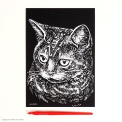 Гравюра А5 "Британская кошка" серебряная основа, 14,5*21 см