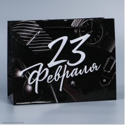 Пакет MS 18*23*8см "23 февраля" (аксессуары)