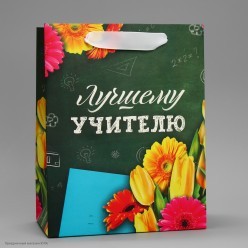 Пакет MS 18*23*10см "Лучшему Учителю" зелёный