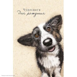 Открытка "Чудесного Дня Рождения" (пёс) 12*18см