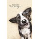 Открытка "Чудесного Дня Рождения" (пёс) 12*18см 0167.254