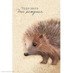 Открытка "Чудесного Дня Рождения" (ёжик) 12*18см