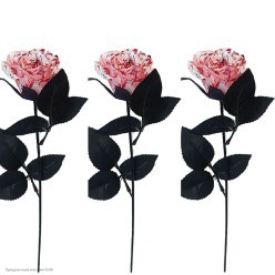 Роза кровавая d-6 см, 36 см