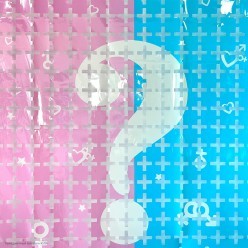 Занавес Квадраты 2*1,0м рисунок "Гендер-пати" гол-роз