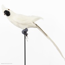 Попугай перьевой 45*10см белый