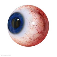 Тарелки 23см Хэллоуин "Глаз" 10шт, бумага