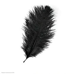 Перо страуса 20-25см цвета ассорти