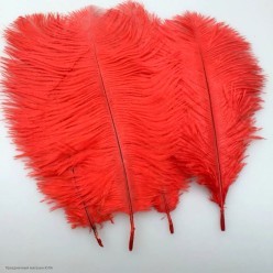 Перо страуса 20-25см цвета ассорти