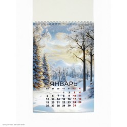 Календарь 2026 на спирали "Впереди открытия" 25*17 см