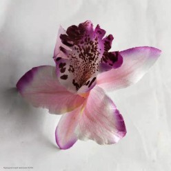 Зажим для волос "Орхидея" розово-фиолетовая 7,5 см