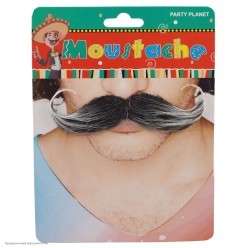 Усы закрученные чёрно-седые