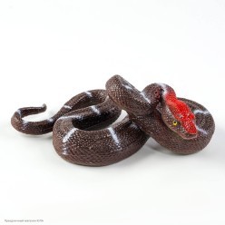 Змея (имитация) резина 16*10см