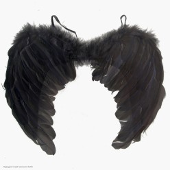 Крылья Ангела чёрные 60*40см (перо)