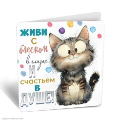 Мини-открытка "Живи с блеском в глазах" (кот) 7*7см