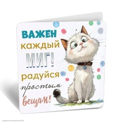 Мини-открытка "Важен каждый миг" (кот) 7*7см