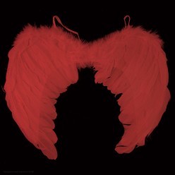 Крылья Ангела красные 60*40см (перо)